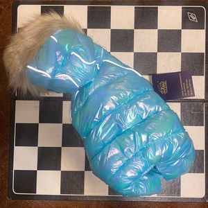 Dog Metallic blue Coat Teacup